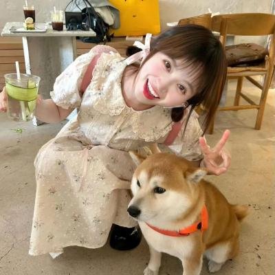 下一站彩虹国语